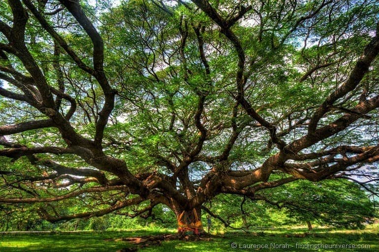 Things to do in Kanchanaburi