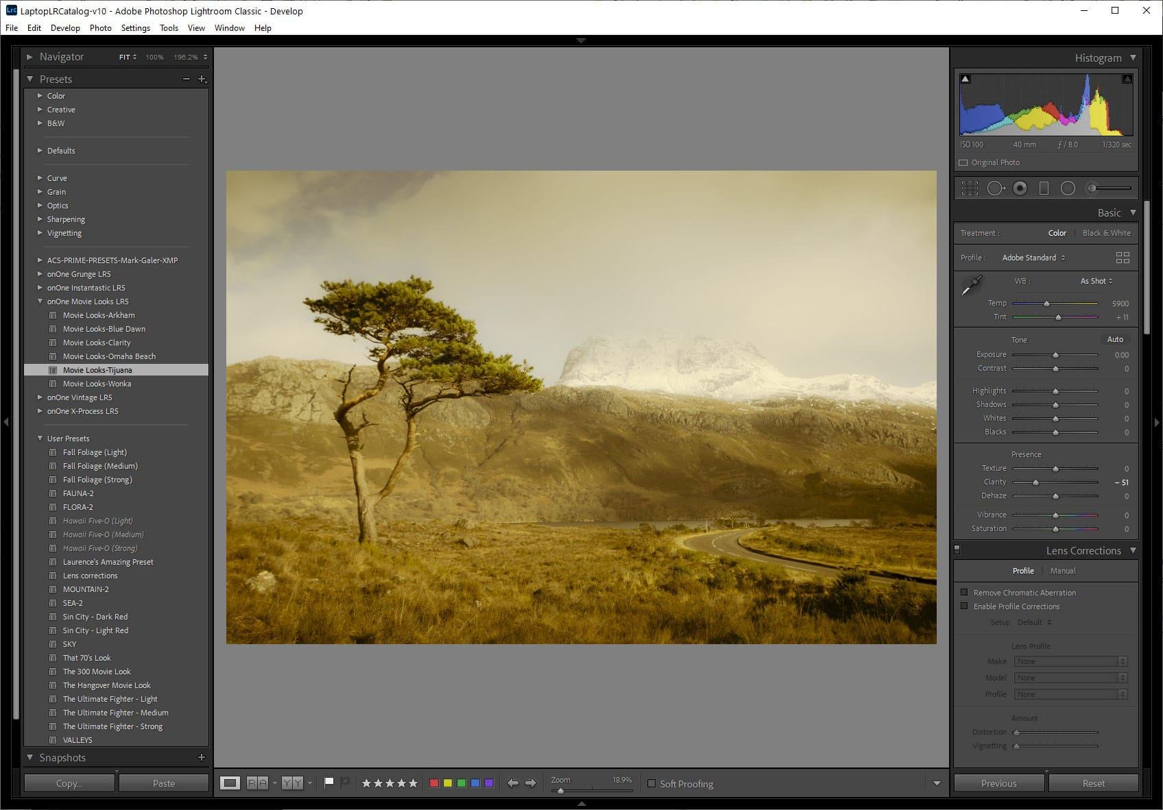 Free Lightroom Presets 6