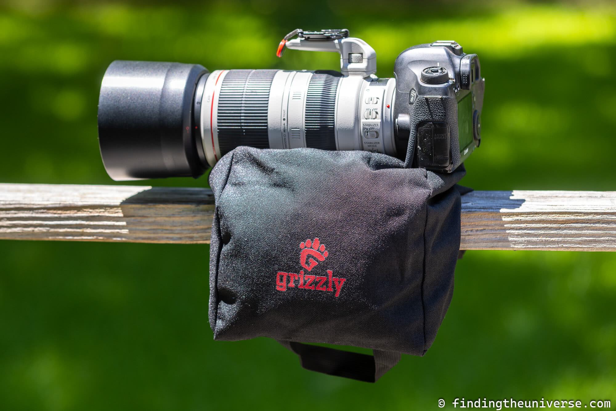 Grizzly photography bean bag by Laurence Norah