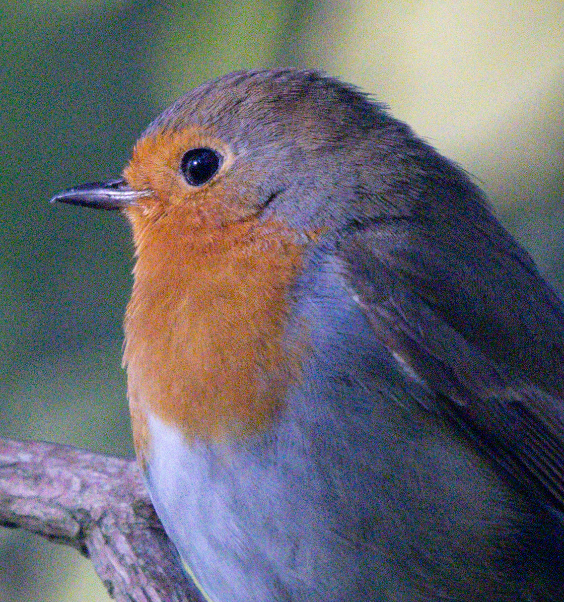 Image 1 – unedited