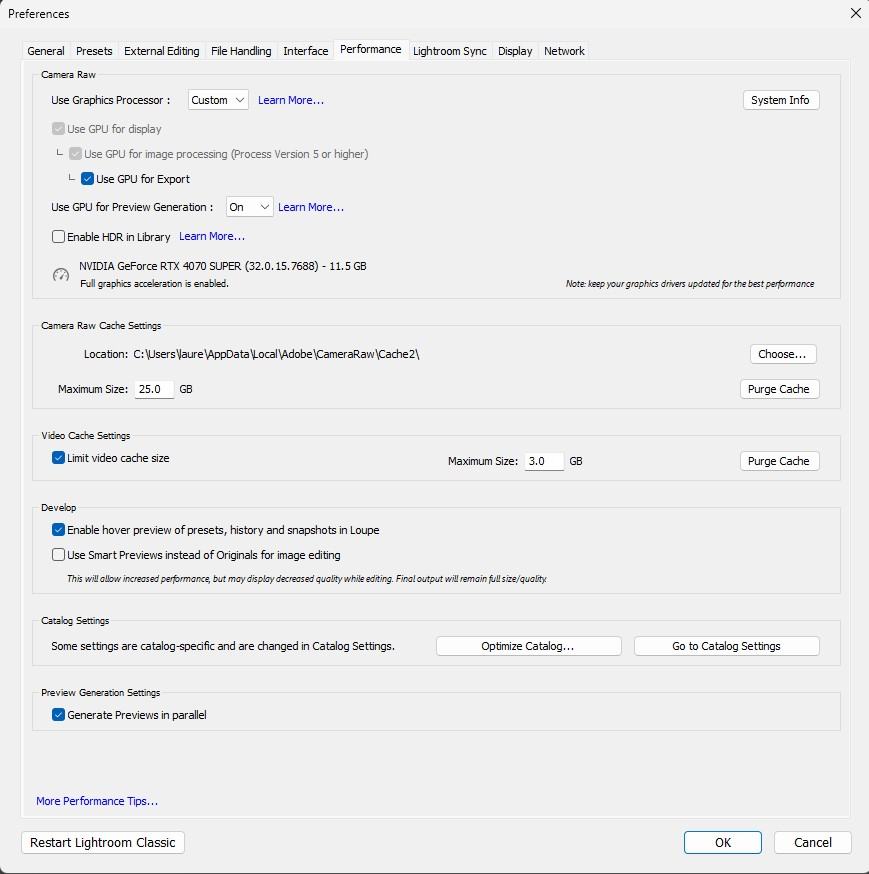 Lightroom performance options