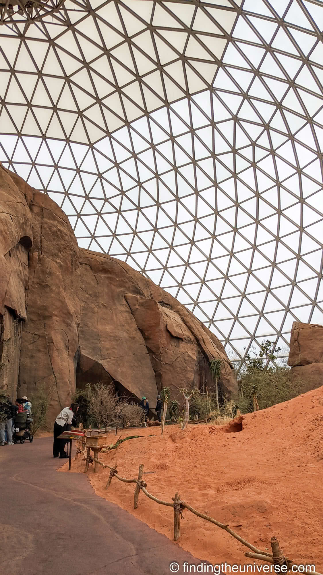 Omaha Zoo by Laurence Norah-3