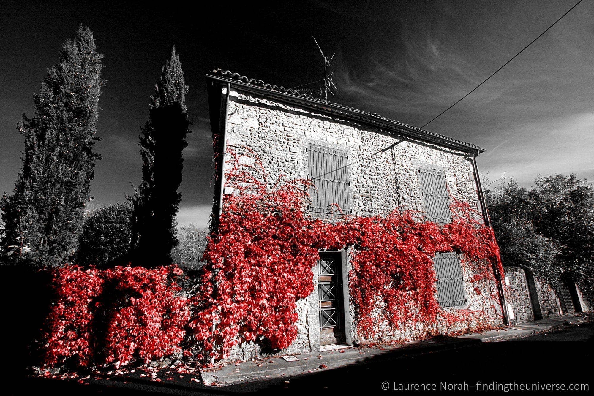 Funky French Facts for some Friday Fun