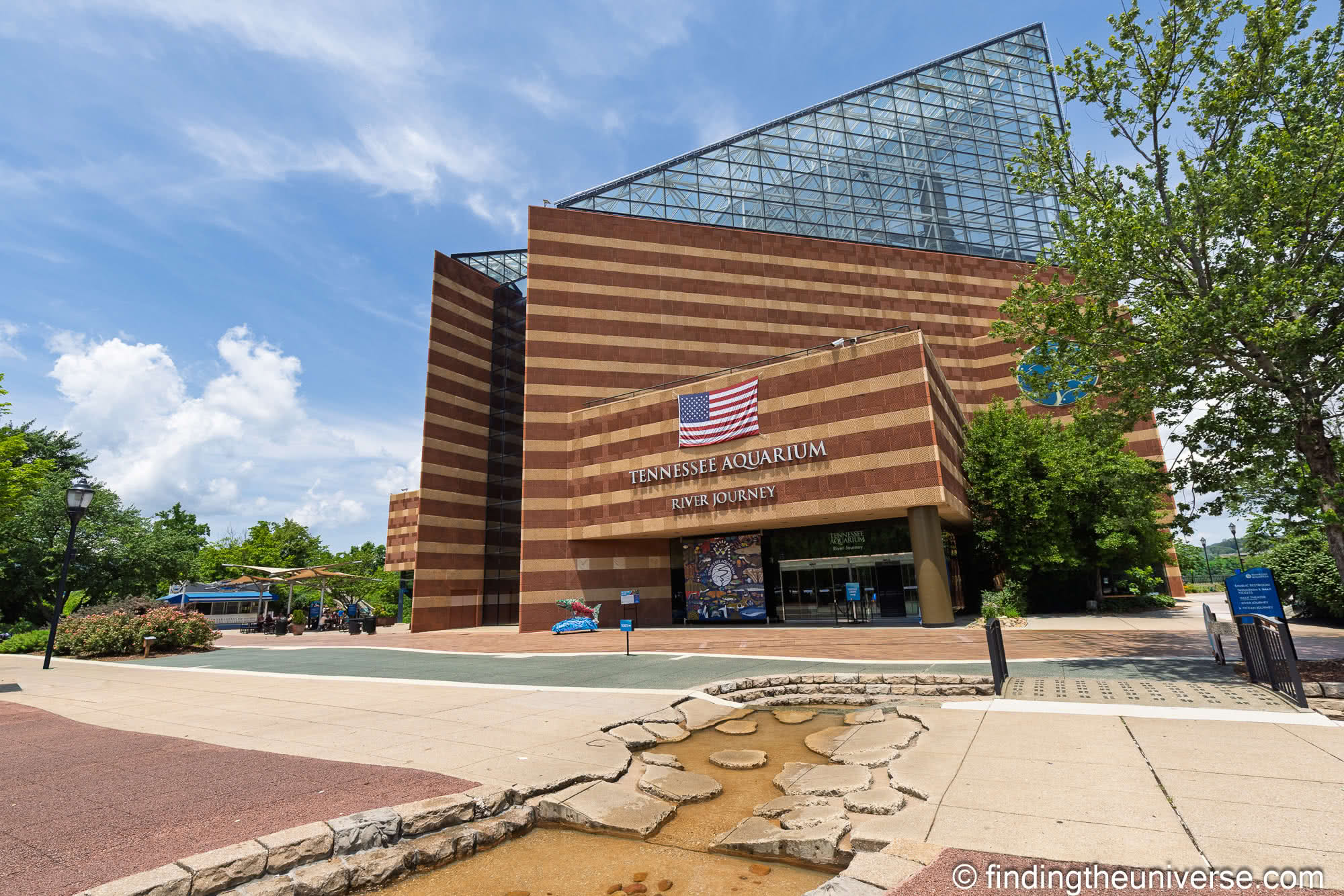 Tennessee Aquarium Chattanooga by Laurence Norah