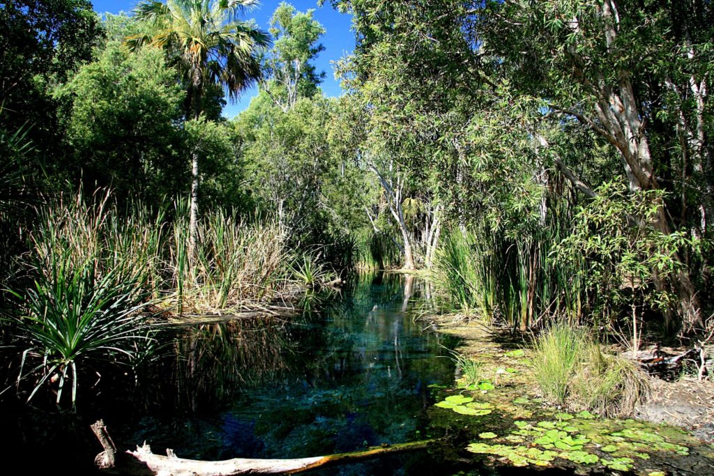 Visiting The Lost Cities of Limmen National Park, Northern Territory, Australia